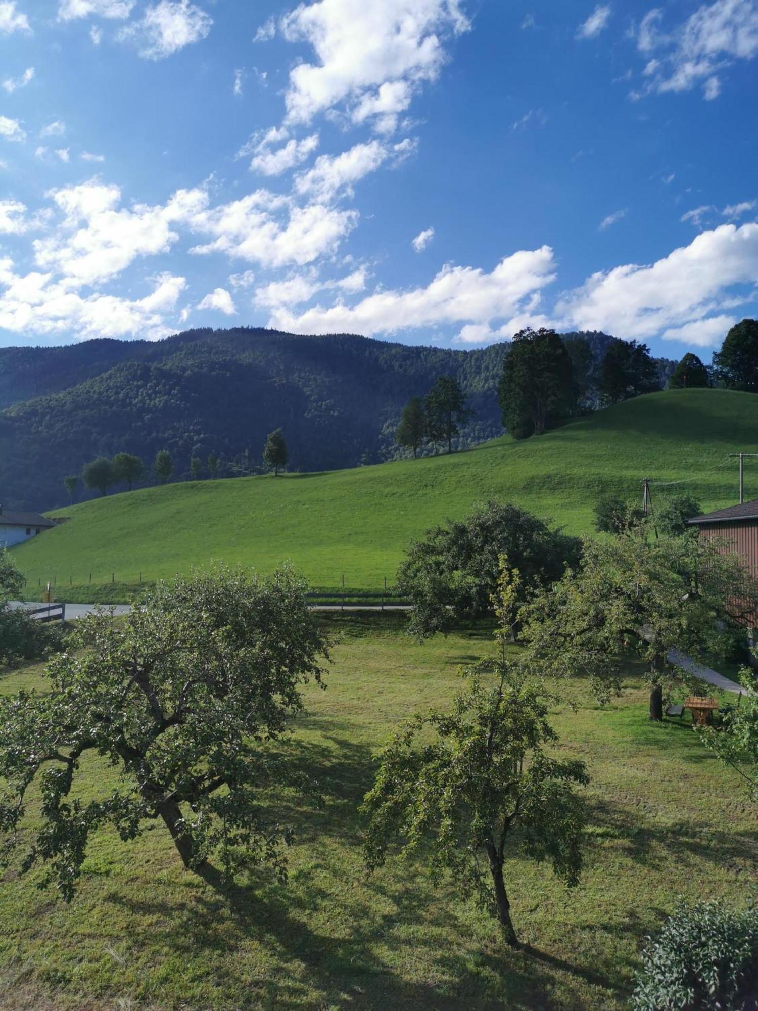 Landidyll Am Thiersee Exterior photo